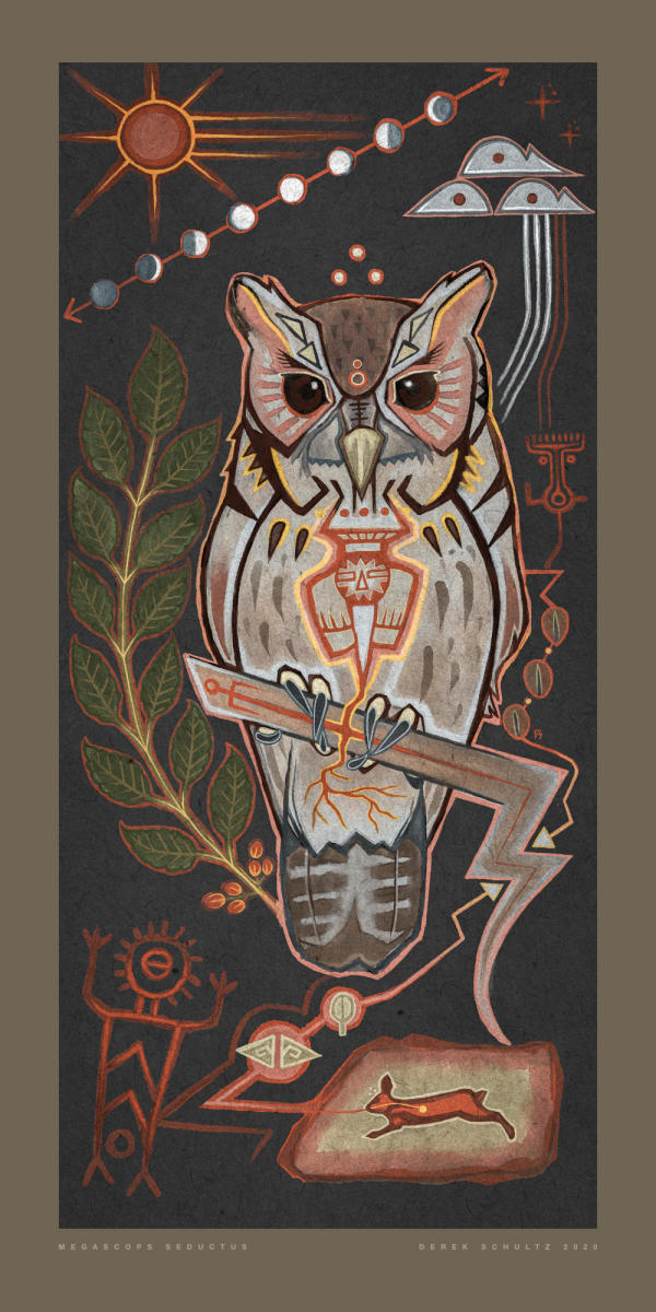 DSNG-023.002 // Megascops seductus // Balsas Screech Owl // 12x24" // 2/10