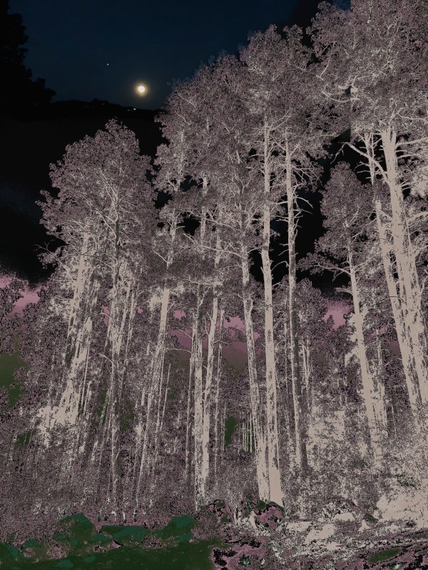Moon Over Goldwater Lake