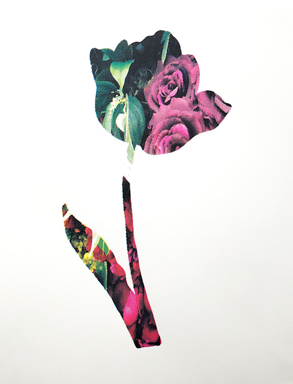 Tulipomania by Nichole Wolz