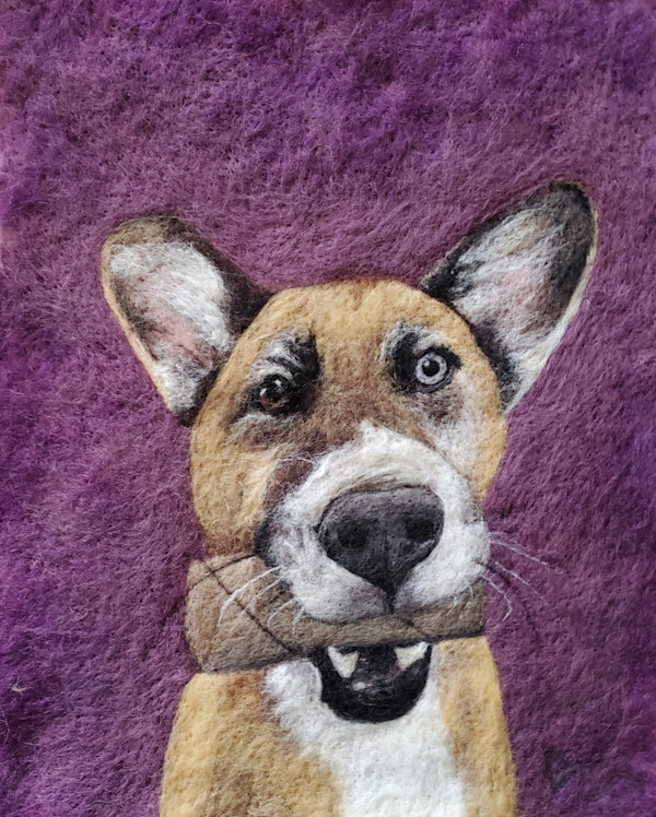 Bowie by Darci Lenker