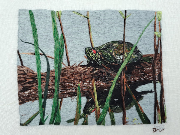 Red-eared Slider by Darci Lenker
