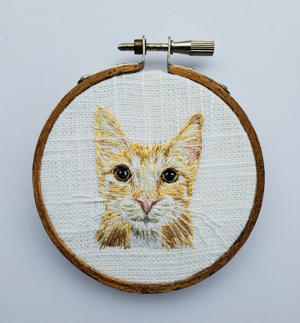 Orange Cat by Darci Lenker