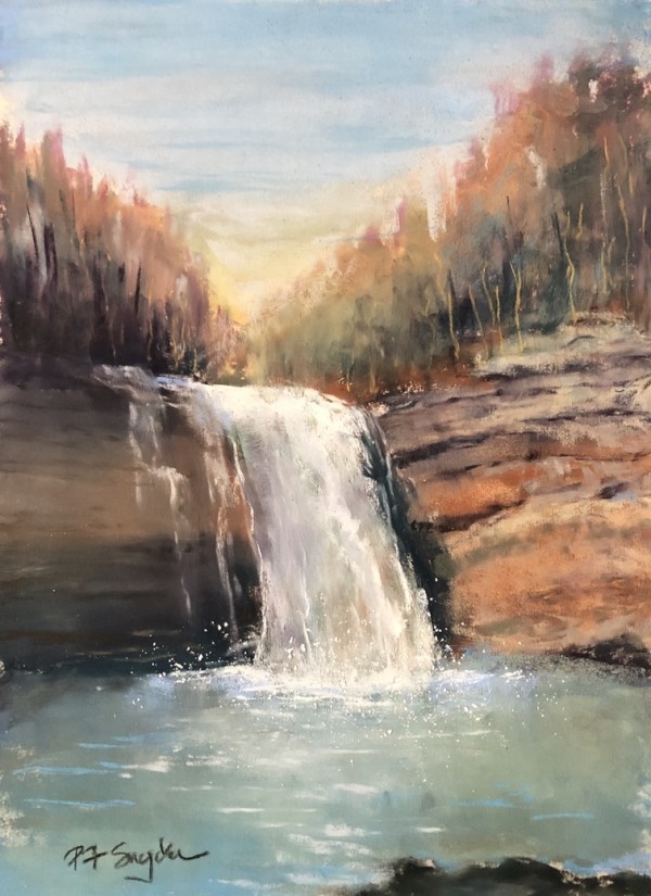 Tennessee Waterfall by Peter F Snyder