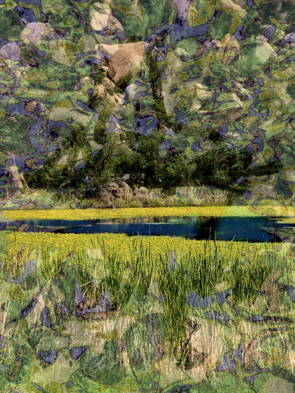 Just Fell Upon It by Debra Sutherland Core  Fine Art