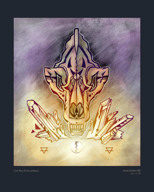 DS-034.001 / Cave Bear Skull / 11x14" / 1/25