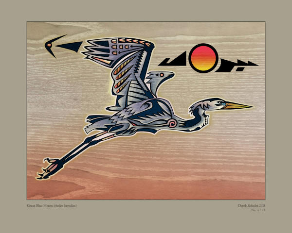 DS-022.003 // Ardea herodias // Great Blue Heron // 11x14" // 3/25 by Derek Schultz