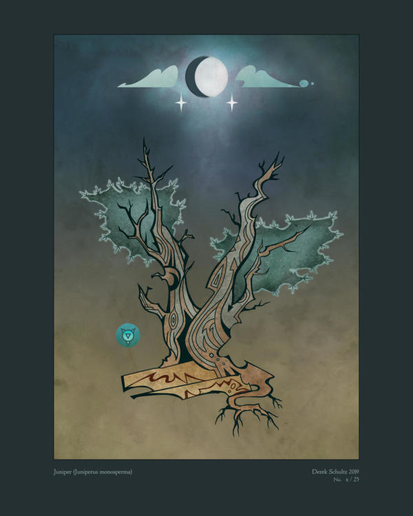 DS-047.001 / Juniper & Moonlight / 8x10" / 1/25