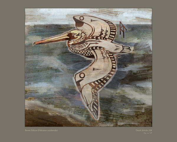 DS-005.002 // Pelecanus occidentalis // Brown Pelican // 11x14" // 2/25