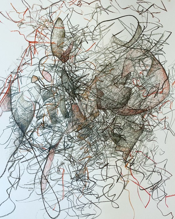 Exploring Space by Darcy Johnson