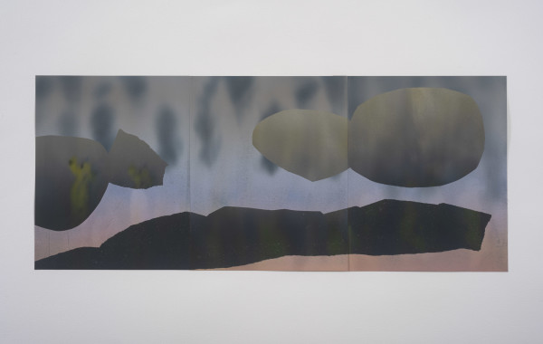 Illusion or revenant by E L Schmidt