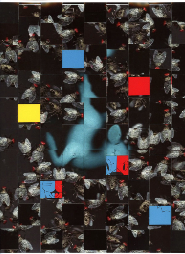 Fester by Kristi Crow