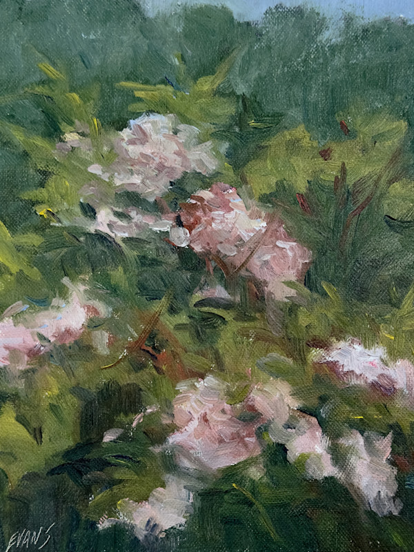 Enduring by Amy Evans