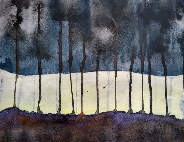 Enchanted Forest by Judith Beeby