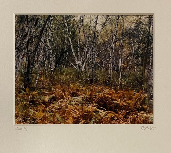 Fall in the Poconos by Ron Stark