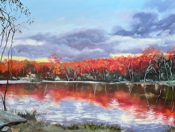 Stanthorpe Frost by Meredith Howse Art