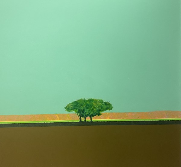 Midlands #6 by Richard Terrell