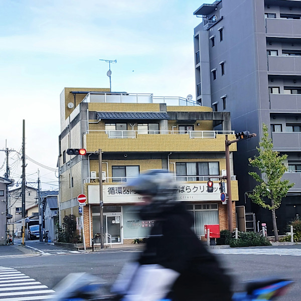 Kyoto by Kristi Crow