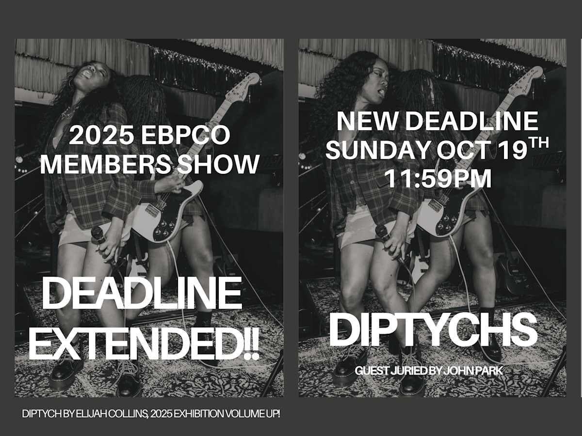 2025 Members' Exhibition: Diptychs