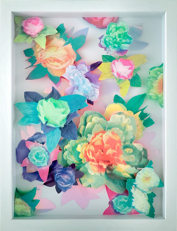 Seedlings by Nichole Wolz