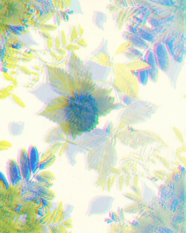 Plant Tile by Nichole Wolz