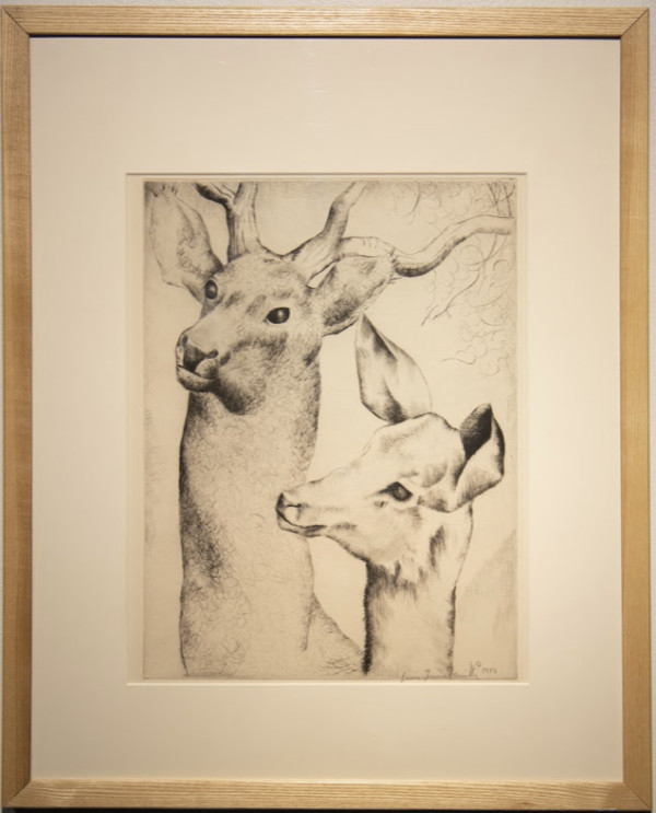 Deer and Fawn by Luis  Quintanilla