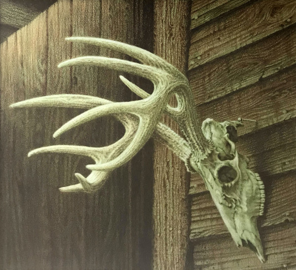 Immortal by Karen Merritt