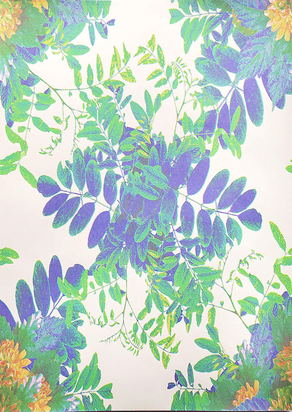 Tangled by Nichole Wolz