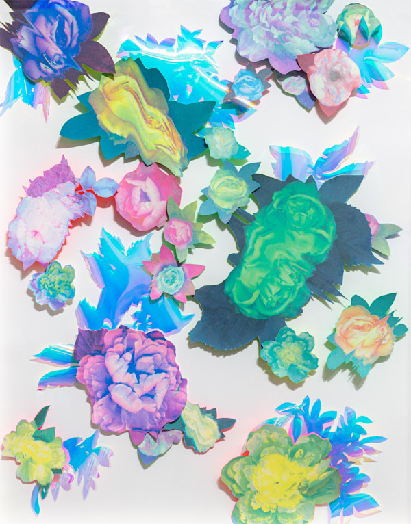 Portable Garden IV by Nichole Wolz