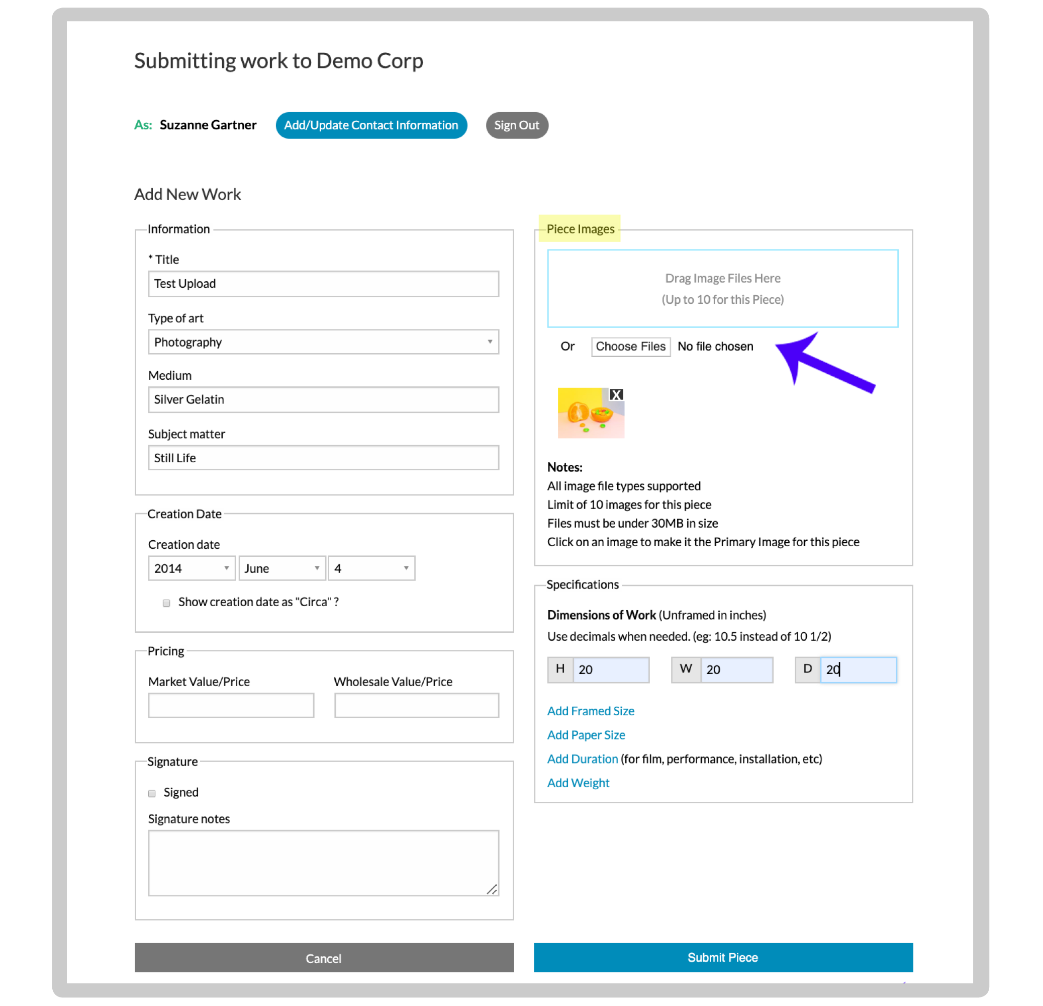 Artist submission interface for organizations