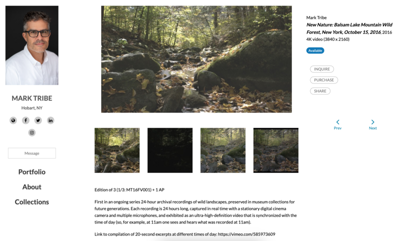 Artwork Archive portfolio page for artist Mark Tribe, featuring a forest landscape video still with details about the piece New Nature: Balsam Lake Mountain Wild Forest, New York, October 15, 2016.